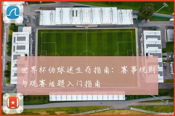 世界杯伪球迷生存指南：赛事规则与观赛话题入门指南