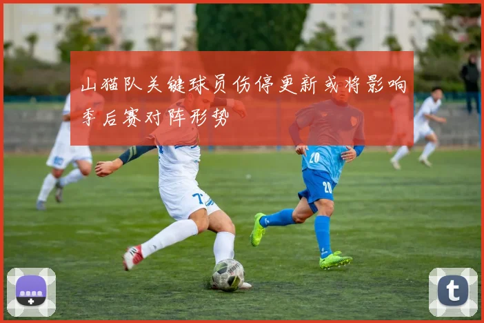 山猫队关键球员伤停更新或将影响季后赛对阵形势