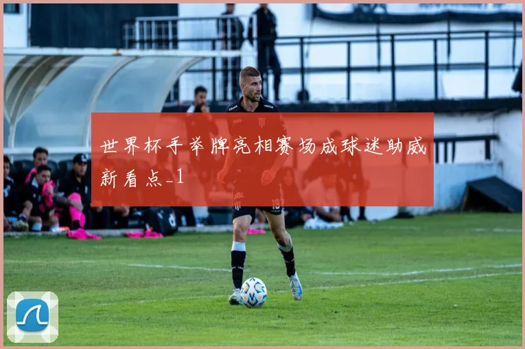 世界杯手举牌亮相赛场成球迷助威新看点_1