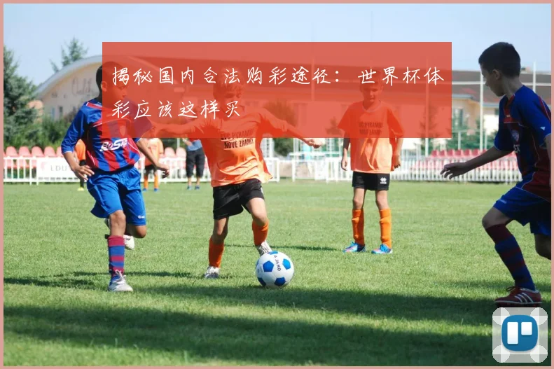揭秘国内合法购彩途径：世界杯体彩应该这样买