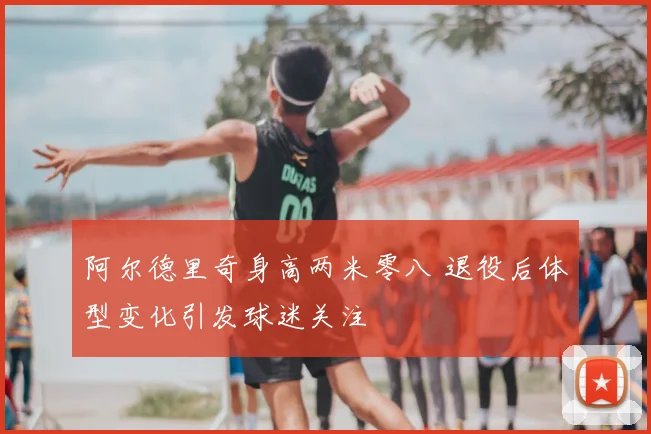 阿尔德里奇身高两米零八 退役后体型变化引发球迷关注