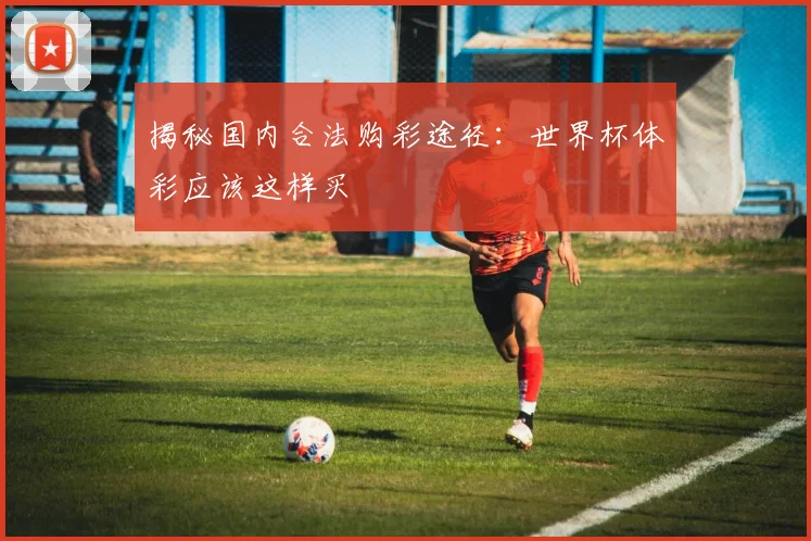 揭秘国内合法购彩途径:世界杯体彩应该这样买