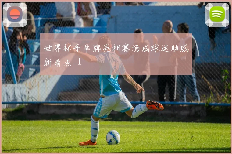 世界杯手举牌亮相赛场成球迷助威新看点_1