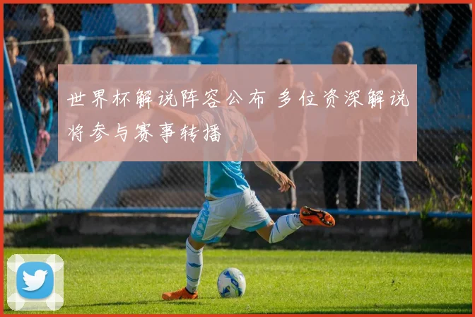 世界杯解说阵容公布 多位资深解说将参与赛事转播
