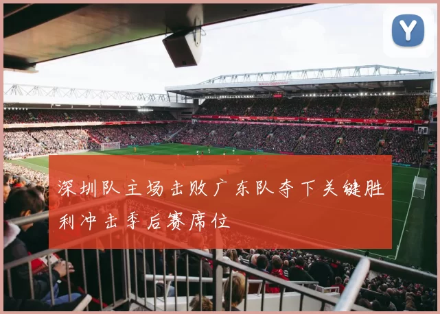 深圳队主场击败广东队夺下关键胜利冲击季后赛席位