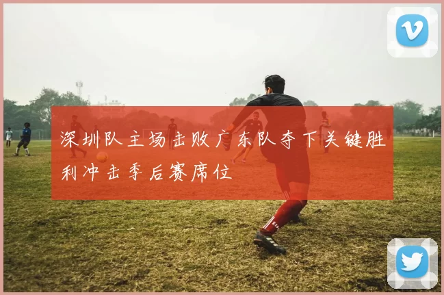 深圳队主场击败广东队夺下关键胜利冲击季后赛席位